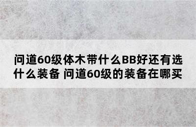 问道60级体木带什么BB好还有选什么装备 问道60级的装备在哪买